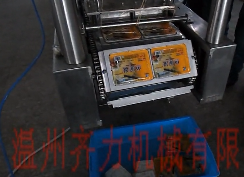 冷凍豆腐抽真空封口機(jī)-兩盒